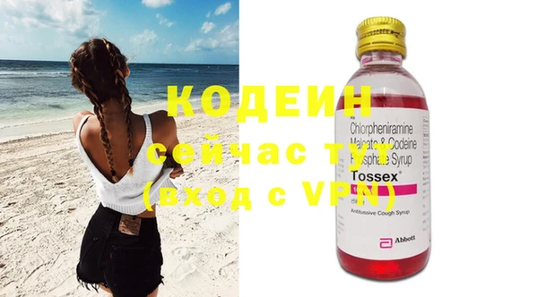 прущие грибы Сосновый Бор