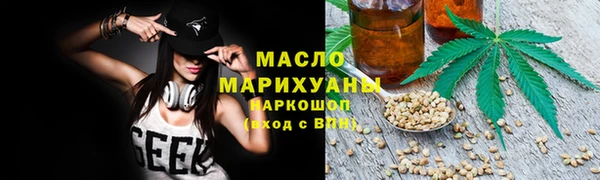 прущие грибы Сосновый Бор