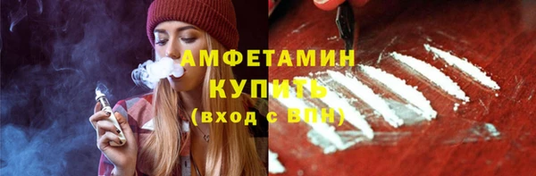 прущие грибы Сосновый Бор