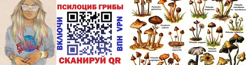 Галлюциногенные грибы GOLDEN TEACHER  где продают   shop как зайти  Зеленодольск 