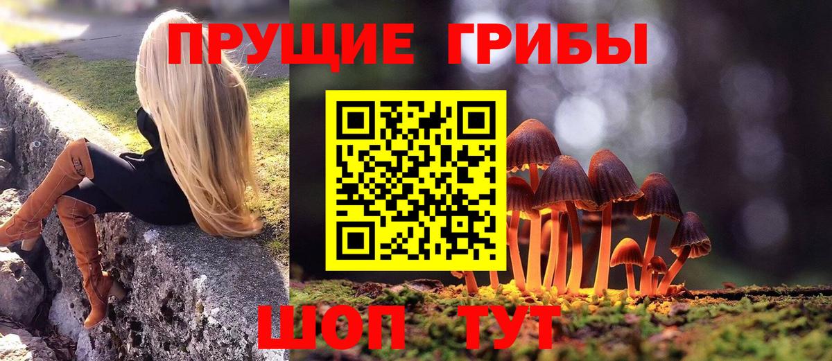 Псилоцибиновые грибы Cubensis Зеленодольск